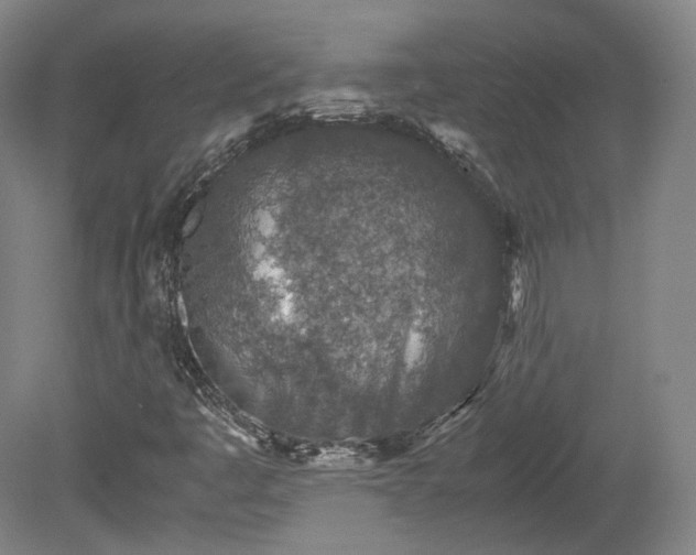 X0000078881445200611201358