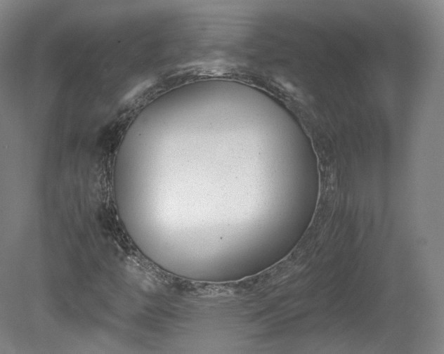 X0000078881446200611201358