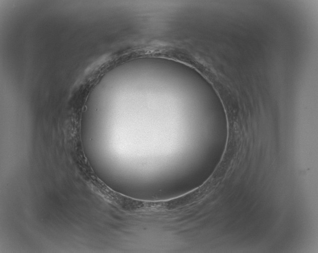 X0000078881447200611201358