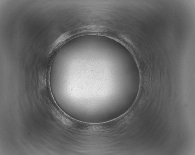 X0000078881451200611201358