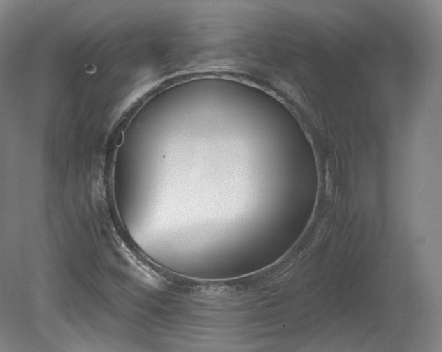X0000078881452200611201358