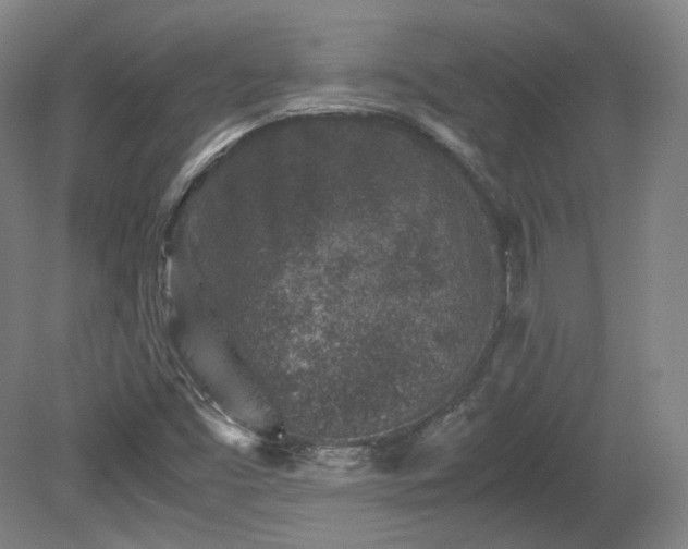 X0000078881453200611201358