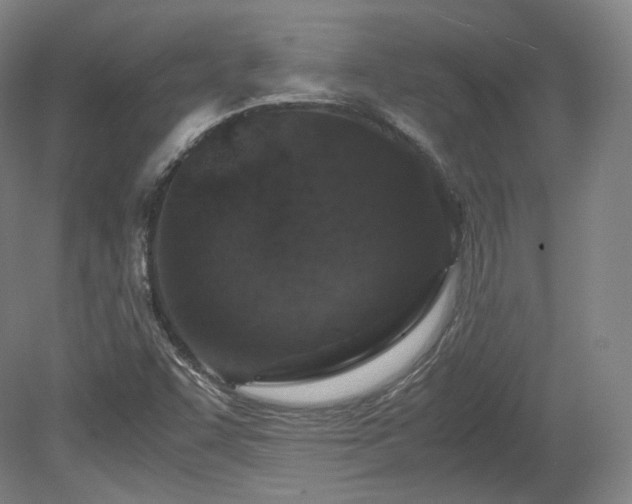 X0000078881455200611201358