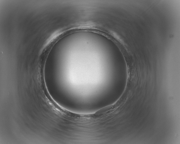 X0000078881456200611201358