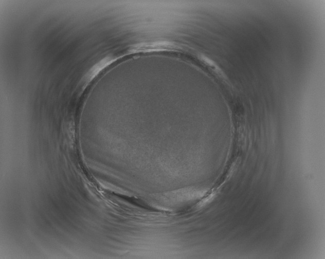 X0000078881457200611201358
