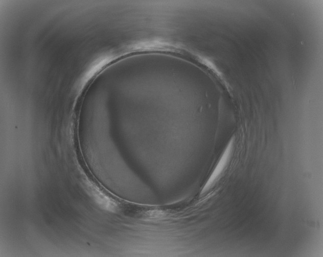 X0000078881463200611201358