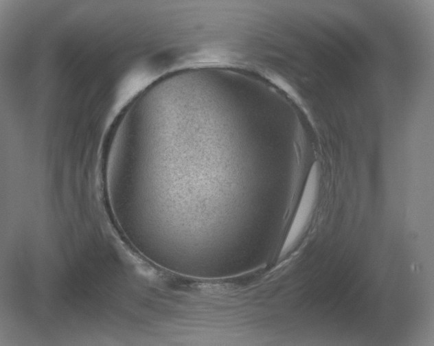 X0000078881469200611201358