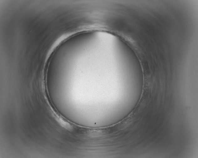 X0000078881470200611201358