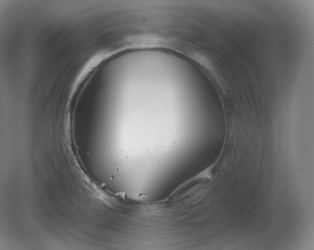 X0000078881472200611201358