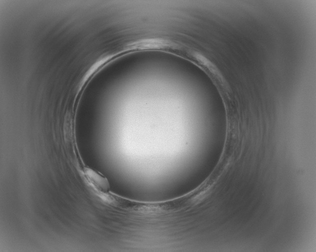 X0000078881473200611201358
