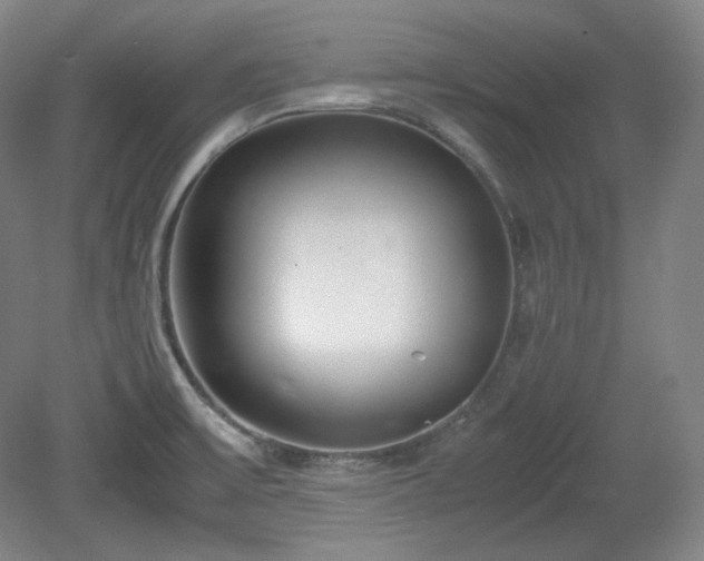 X0000078881475200611201358