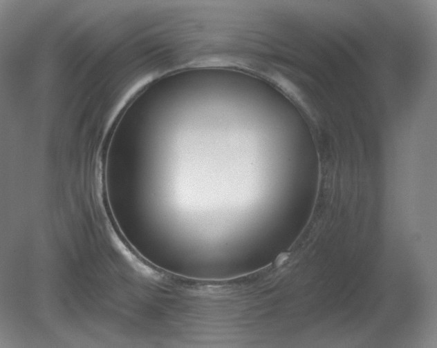X0000078881476200611201358
