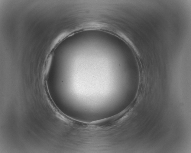 X0000078881477200611201358