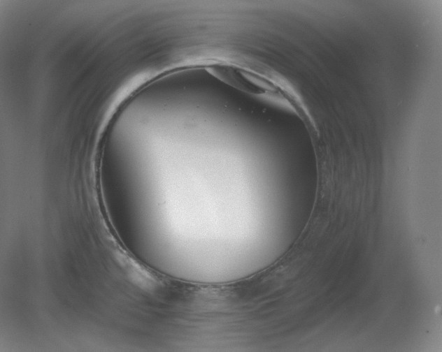 X0000078881480200611201358