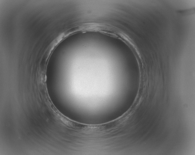 X0000078881481200611201358