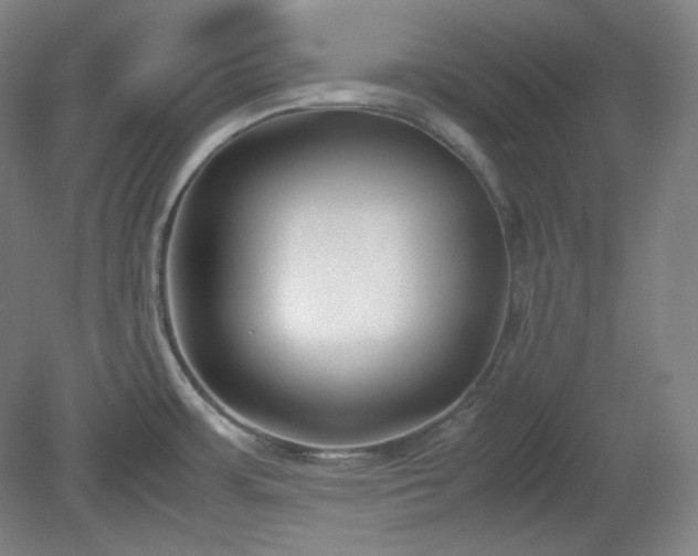 X0000078881483200611201358