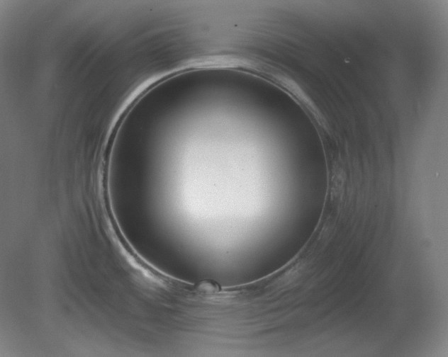 X0000078881484200611201357