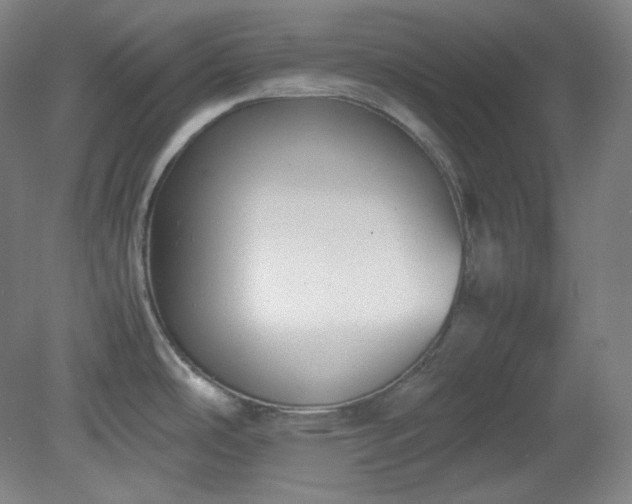 X0000078881486200611201357