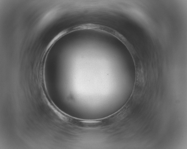 X0000078881487200611201357
