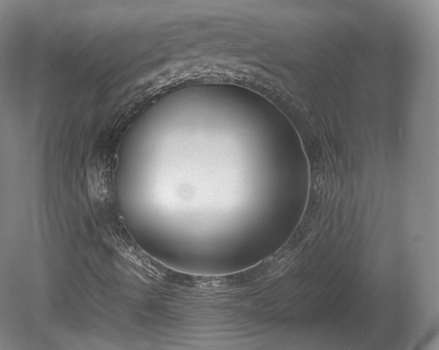 X0000078881490200611201357