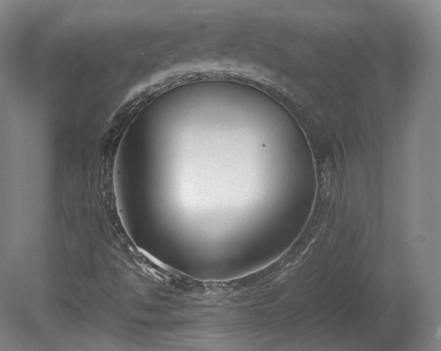 X0000078881494200611201357
