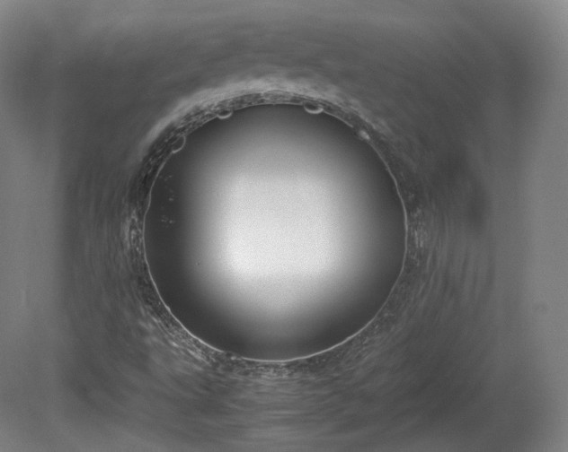 X0000078881495200611201357