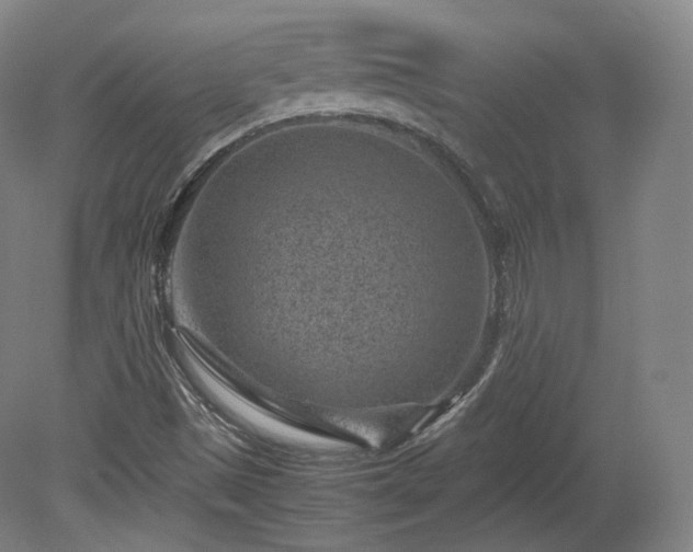 X0000078881497200611201357
