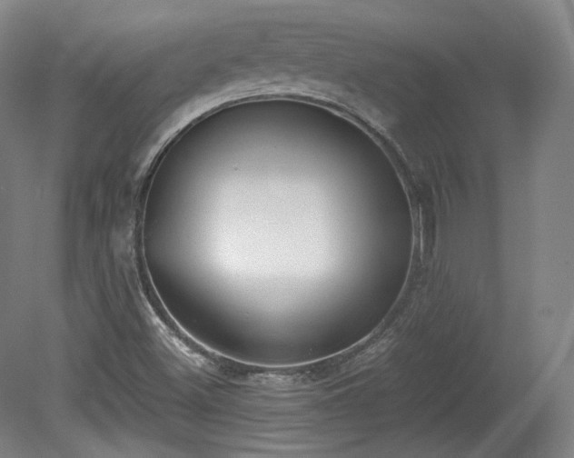 X0000078881500200611201357