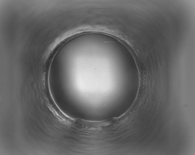 X0000078881503200611201357