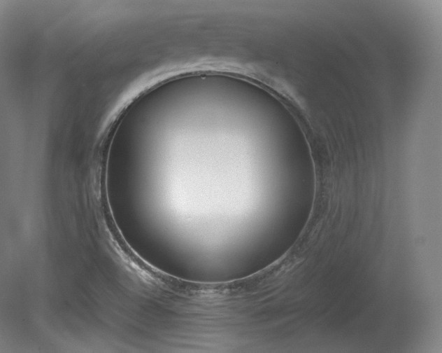 X0000078881504200611201357