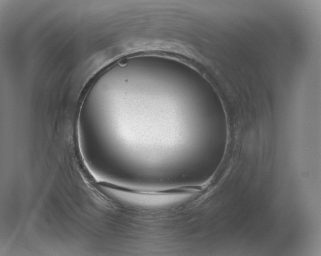 X0000078881505200611201357