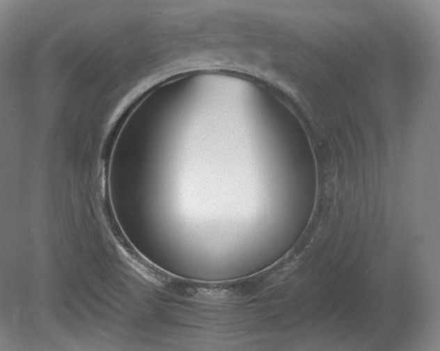 X0000078881509200611201357