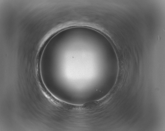 X0000078881511200611201357