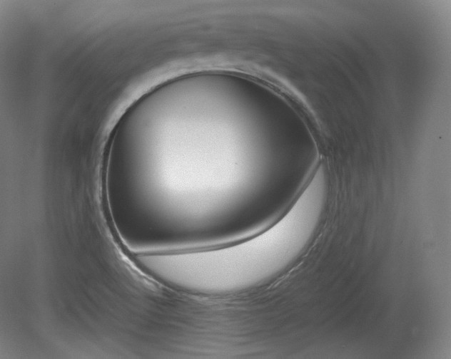 X0000078881512200611201357