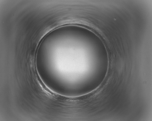 X0000078881513200611201357