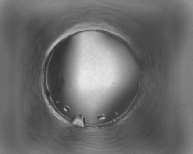 X0000078881518200611201357