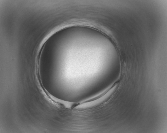 X0000078881520200611201357