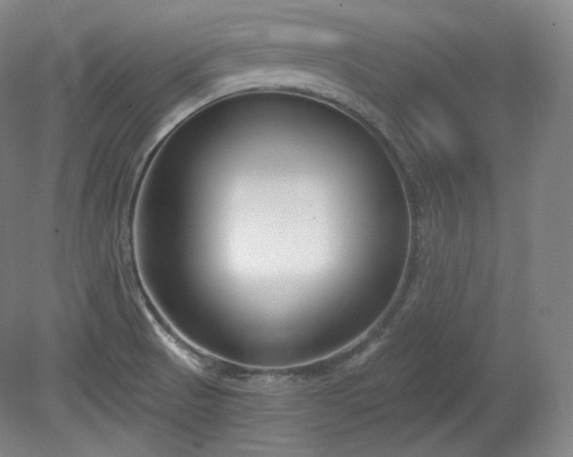 X0000078881521200611201357