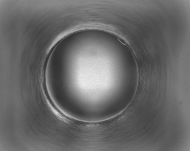 X0000078881523200611201357
