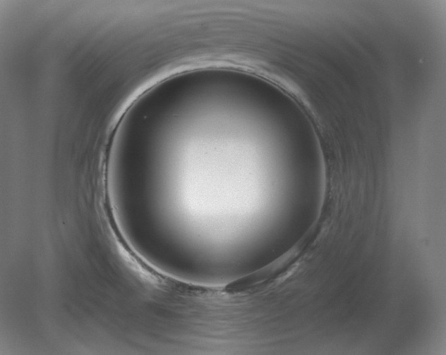 X0000078881524200611201357