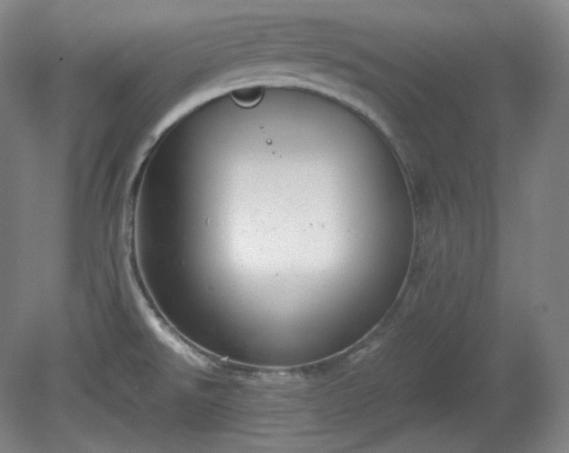 X0000078881526200611201357