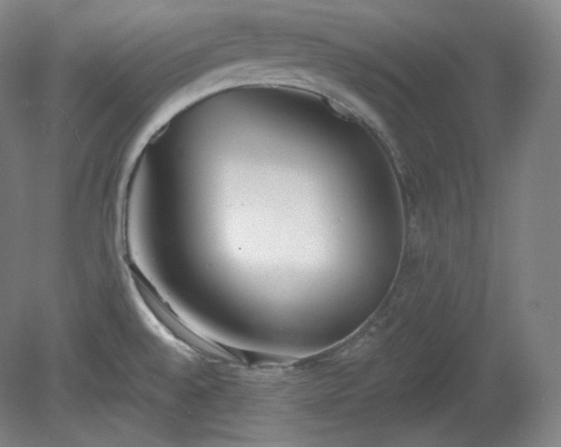X0000078881528200611201357