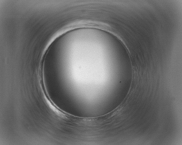 X0000078881531200611201357