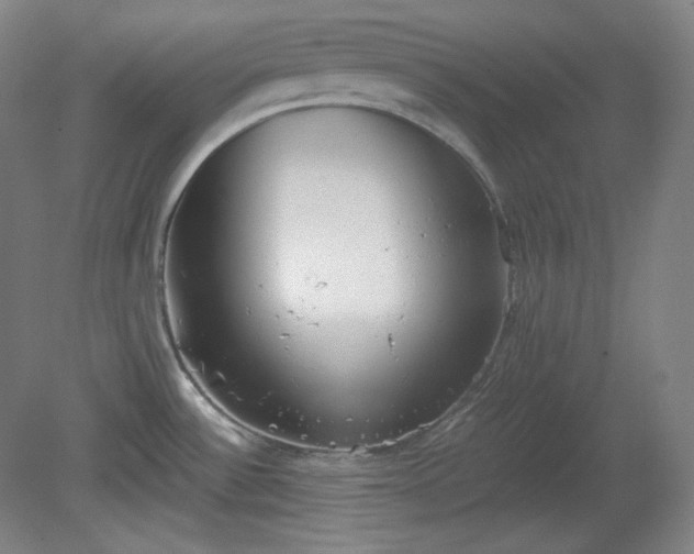 X0000078881532200611201357