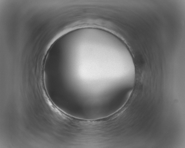 X0000078881534200611201357