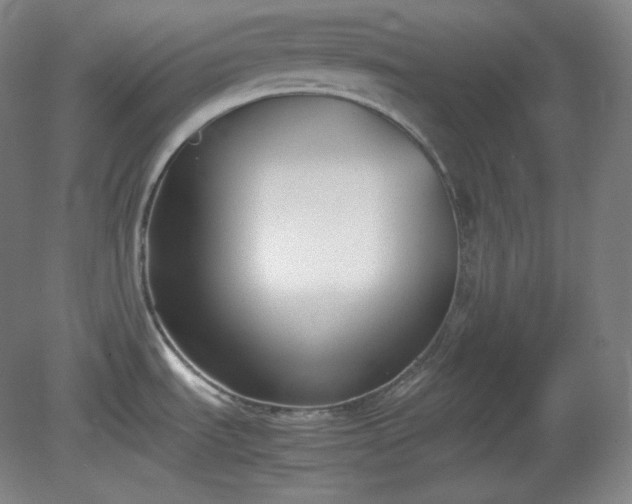 X0000078881535200611201357