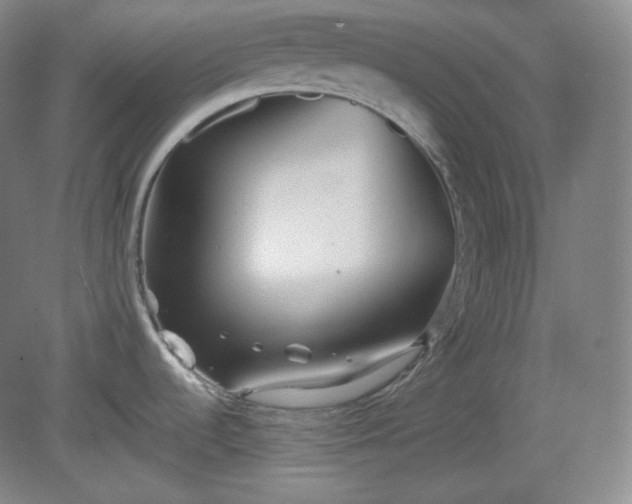 X0000078881536200611201357