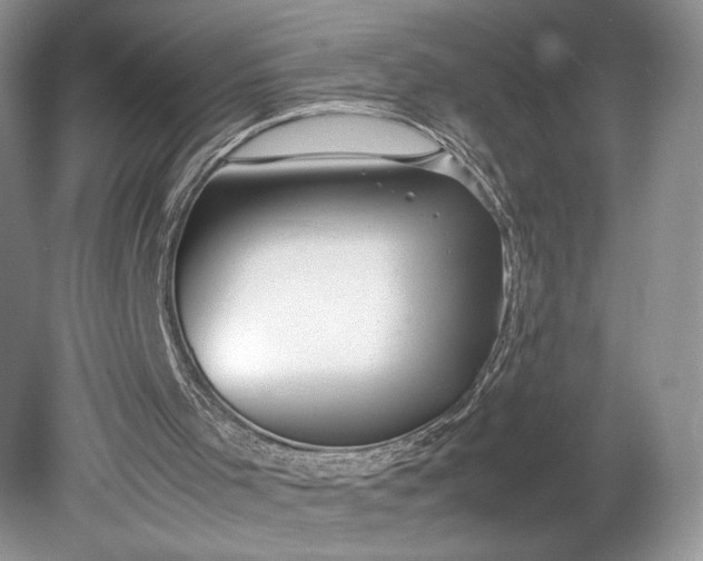 X0000078880001200611271339