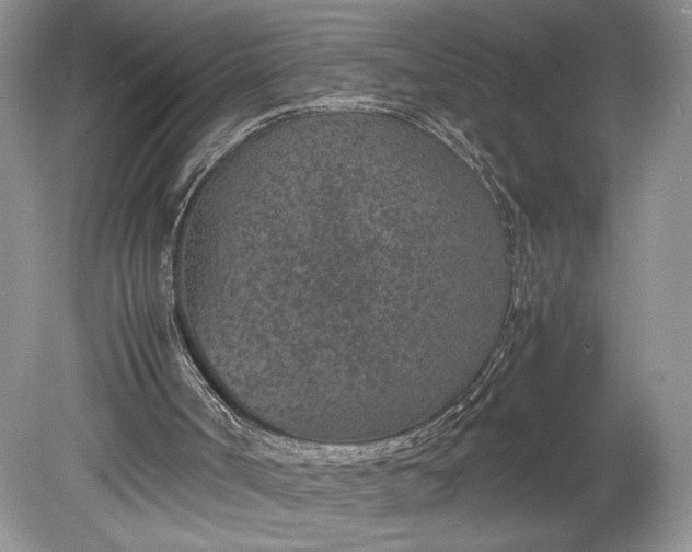 X0000078880002200611271339