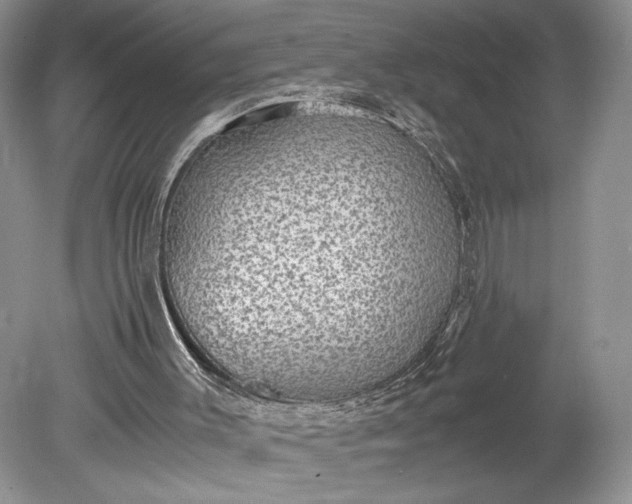 X0000078880003200611271339